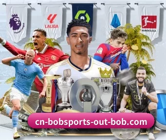 bob综合 APP
